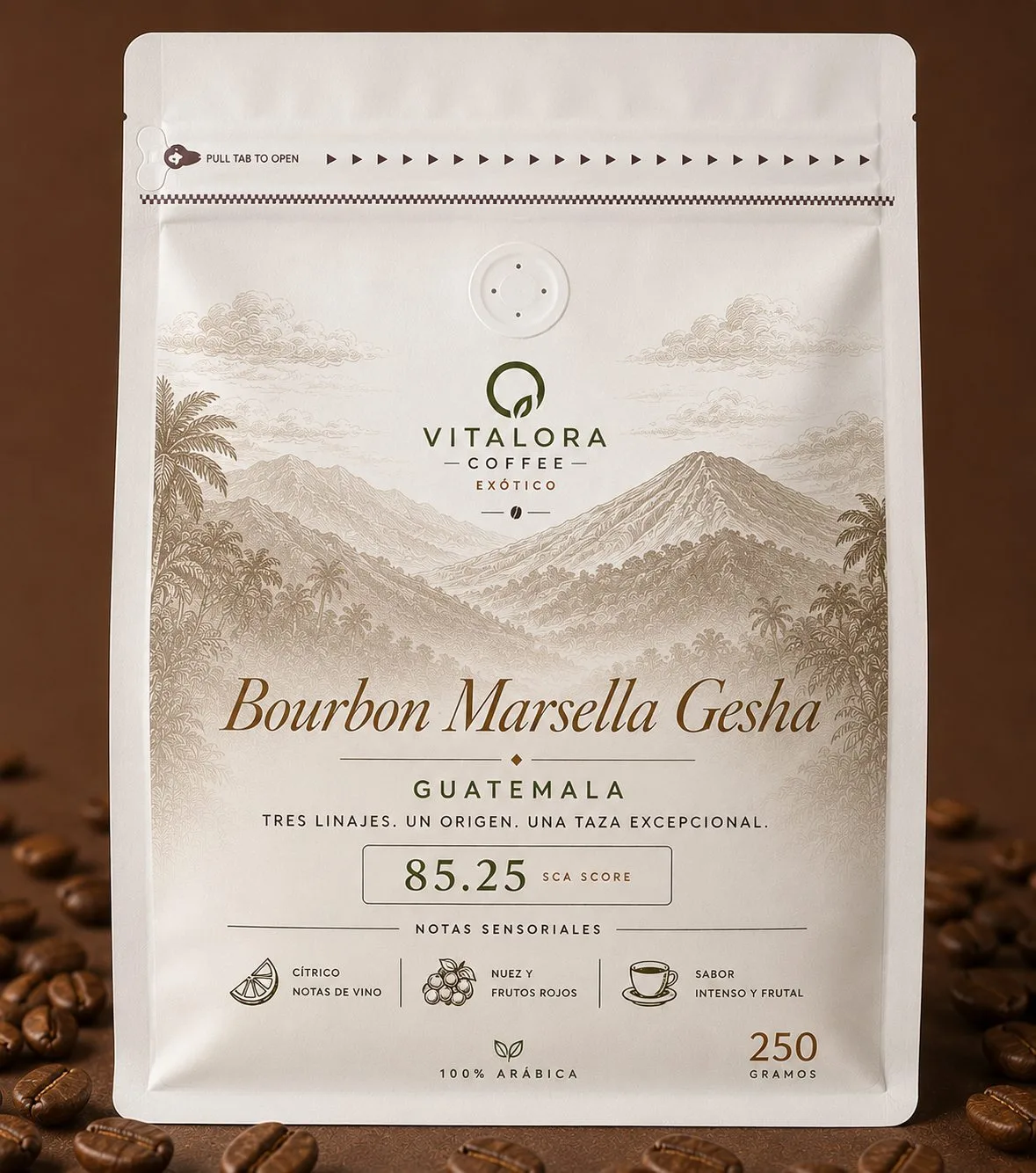 Cafe Guatemala 500gr