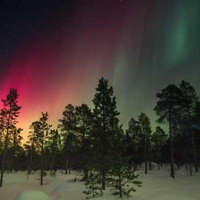 Anillo de Luz LED 727