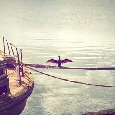 Empanada de Carne 391