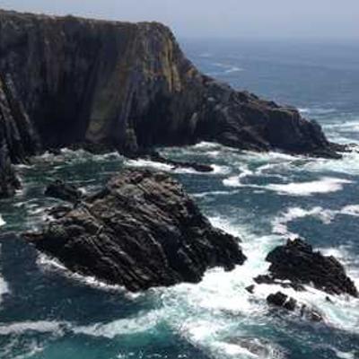 Hamburguesa Clásica 301