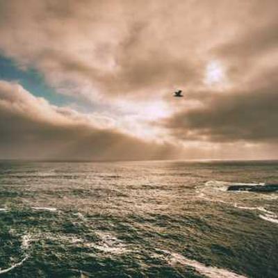 Juego de Sábanas 566