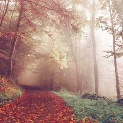 Micrófono Condensador 990