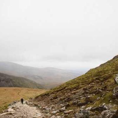 Milanesa con Papas 357