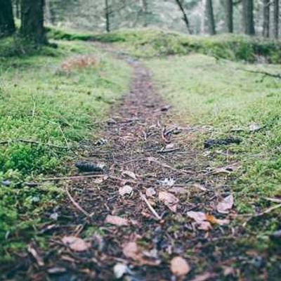 Monitor Curvo 27" 270