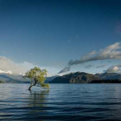 Pantalón Jean Mujer 316