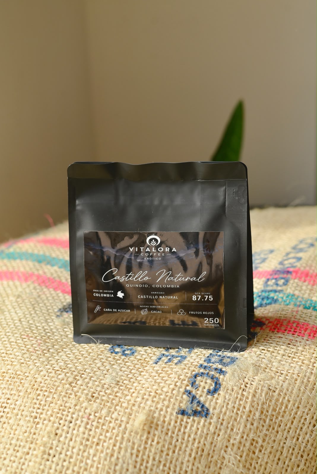 Cafe Castillo Natural Colombia 125 gr