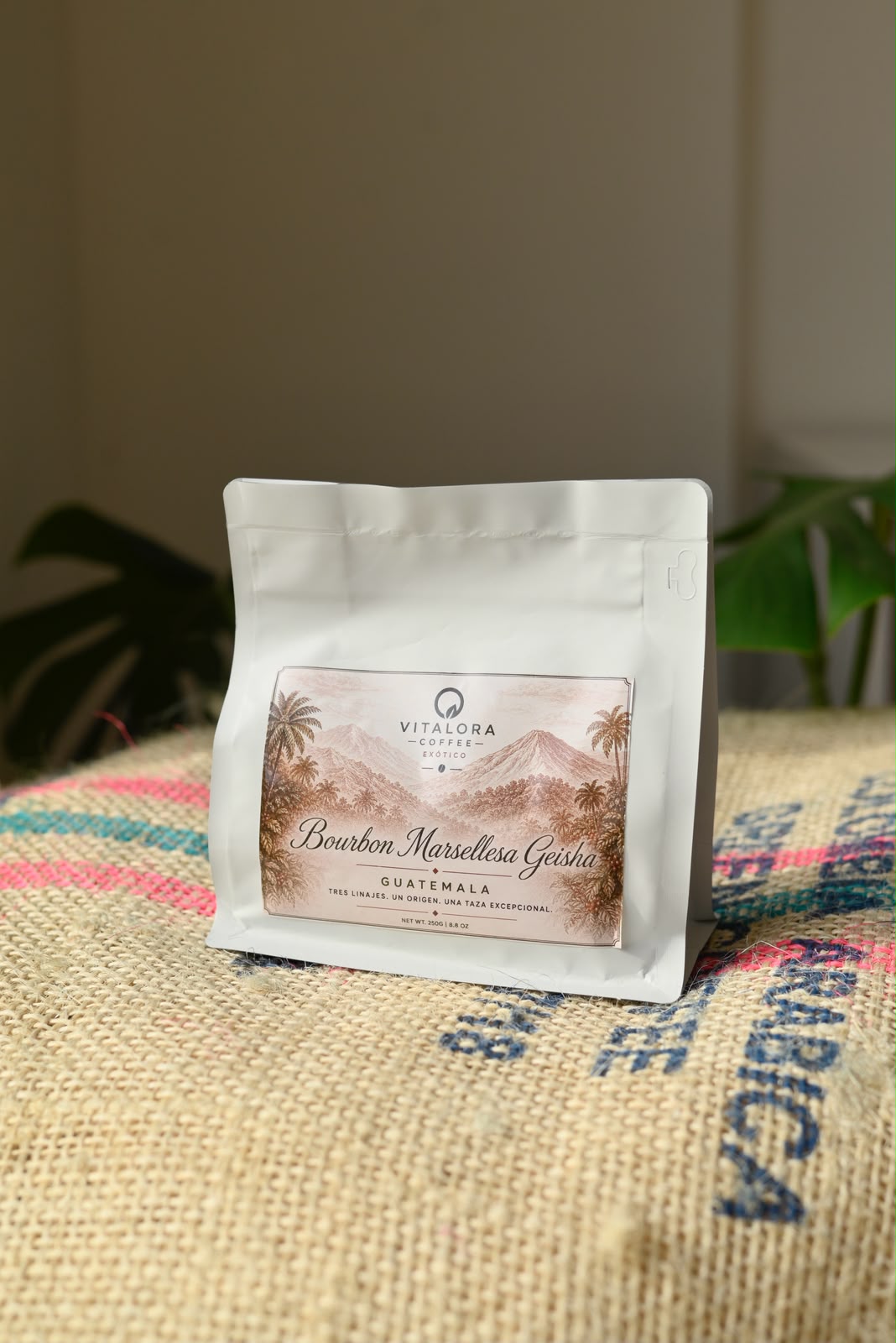 Cafe Guatemala 250gr