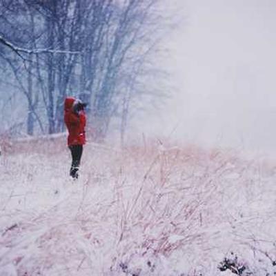 Set de Herramientas 978