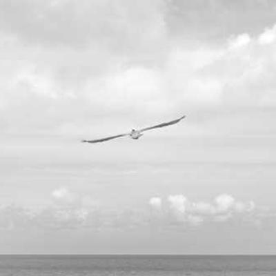 Silla Ergonómica Oficina 567