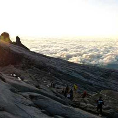 Silla Ergonómica Oficina 904