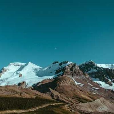 Trípode Profesional 550