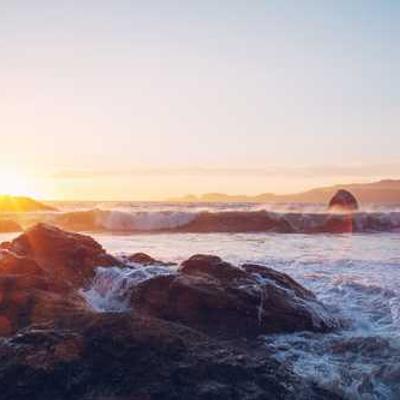 Trípode Profesional 816