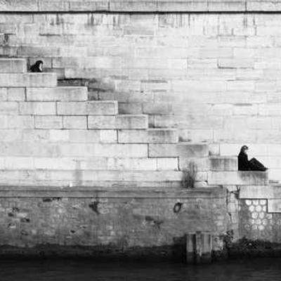 Wrap Vegetariano 440